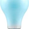 Sylvania® 60W A19 Spot-Gro Dimmable Incandescent Light Bulbs - 6 Pack -Sylvania Outlet Store 04613512280bl
