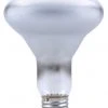 Sylvania® 65W BR30 Dimmable Incandescent Light Bulbs - 24 Pack 1 Sylvania® 65W BR30 Dimmable Incandescent Light Bulbs - 24 Pack -Sylvania Outlet Store 04613513129bl