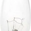 Sylvania 40-Watt Dimmable Incandescent Light Bulbs - 2 Pack -Sylvania Outlet Store 04613513456bl