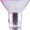 Sylvania® 375W R40 Dimmable Incandescent Light Bulbs - 24 Pack 1 Sylvania® 375W R40 Dimmable Incandescent Light Bulbs - 24 Pack -Sylvania Outlet Store 04613514747bl