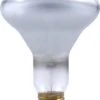 Sylvania® 65W BR30 Dimmable Incandescent Light Bulbs - 24 Pack -Sylvania Outlet Store 04613515165bl