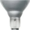 Sylvania® 65W BR30 Dimmable Incandescent Light Bulbs - 2 Pack -Sylvania Outlet Store 04613515246bl