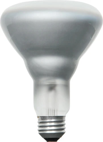 Sylvania® 65W BR30 Dimmable Incandescent Light Bulbs - 2 Pack 3 Sylvania® 65W BR30 Dimmable Incandescent Light Bulbs - 2 Pack