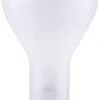 Sylvania® 300W PS30 Dimmable Incandescent Light Bulbs - 60 Pack 1 Sylvania® 300W PS30 Dimmable Incandescent Light Bulbs - 60 Pack -Sylvania Outlet Store 04613515739