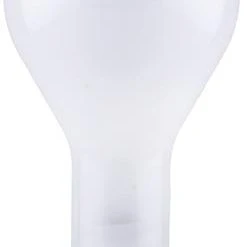 Sylvania® 300W PS35 Dimmable Incandescent Light Bulbs - 24 Pack
