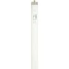 Sylvania® 48" 32W Sky White T8 Linear Fluorescent Light Bulbs - 2 Pk -Sylvania Outlet Store 3531404bl