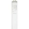Sylvania® 15" 14W Cool White T12 Linear Fluorescent Light Bulb -Sylvania Outlet Store 3532560bl