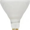 Sylvania® 65W BR40 Dimmable Incandescent Light Bulbs - 2 Pack -Sylvania Outlet Store 3533409bl