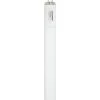 Sylvania® 30W T12 Cool White Fluorescent Light Bulb -Sylvania Outlet Store 3536102bl