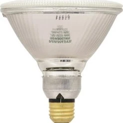 Sylvania 80-Watt PAR38 Dimmable Halogen Light Bulbs (2-Pack)